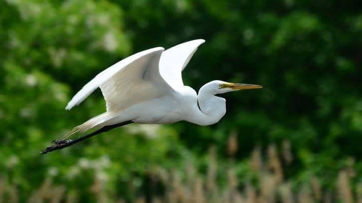 10583870_972818469430539_155597656980602170_n